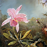 Art Reproductions Example - Cattleya Orchid and Three Brazilian Hummingbirds