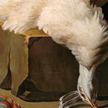 Art Reproductions Example - The White Peacock