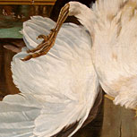 Art Reproductions Example - The White Peacock