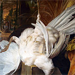 Art Reproductions Example - The White Peacock
