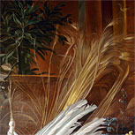 Art Reproductions Example - The White Peacock