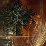 Art Reproductions Example - The White Peacock