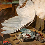 Art Reproductions Example - The White Peacock