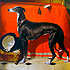 Sample of painting: Eos, A Favorite Greyhound of Prince Albert