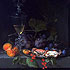 Sample of painting: Still Life with Crabs on a Pewter Plate