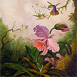 Art Reproductions Example - Two Hummingbirds with a Pink Orchid
