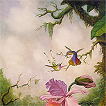 Art Reproductions Example - Two Hummingbirds with a Pink Orchid
