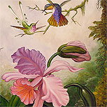Art Reproductions Example - Two Hummingbirds with a Pink Orchid