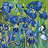 Irises - Gogh - Startseite