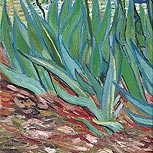 Art Reproductions Example - Irises