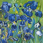 Art Reproductions Example - Irises