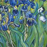 Art Reproductions Example - Irises