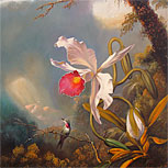 Art Reproductions Example - An Amethyst Hummingbird with a White Orchid