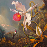 Art Reproductions Example - An Amethyst Hummingbird with a White Orchid