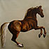Whistlejacket - Stubbs - Home