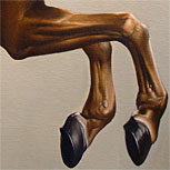 Art Reproductions Example - Whistlejacket