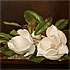 Magnolias on a Wooden Table - Heade - Home