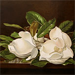 Art Reproductions Example - Magnolias on a Wooden Table