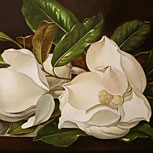 Art Reproductions Example - Magnolias on a Wooden Table