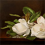 Art Reproductions Example - Magnolias on a Wooden Table