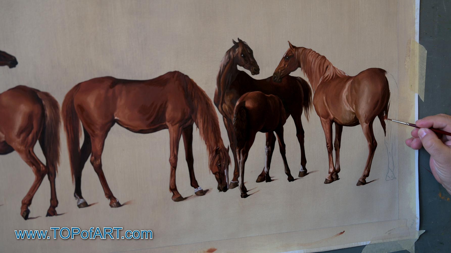 George Stubbs - "Mares and Foals without a Background" - Process of Creation of the Painting