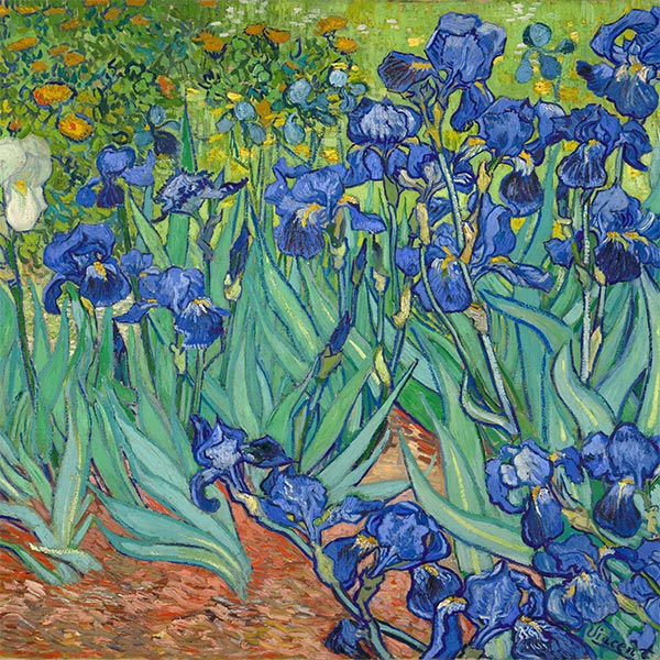 Seidenschal | Irisblüten | Vincent van Gogh | Originalgemälde