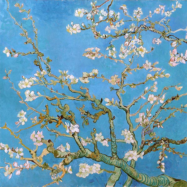 Silk Scarf | Blossoming Almond Tree | Vincent van Gogh | Original Painting