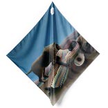 Silk Scarf | The Sleeping Gypsy | Henri Rousseau | Image Thumb 1